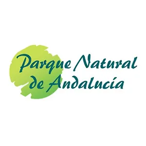Pinos Casa rural